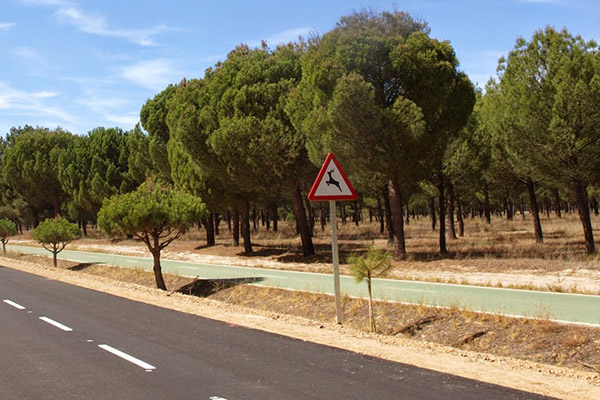 Patria Hispana mejora la cobertura por daños de animales