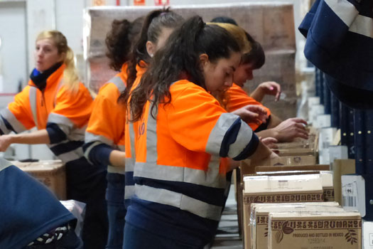 Seguros para empleados