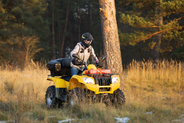 ATV en el bosque para trabajos agricolas